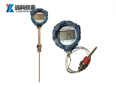 防爆數(shù)字溫度計